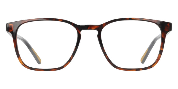 Dark Tortoise / 54-19-145