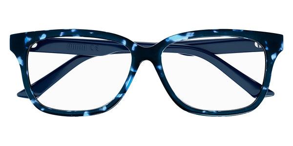 Havana/Blue / 51-12-130