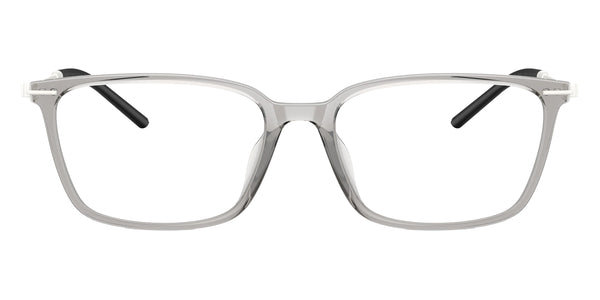 Light Gray/Silver / 55-17-145