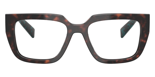 Root Tortoise/Teal Tortoise / 50-18-140