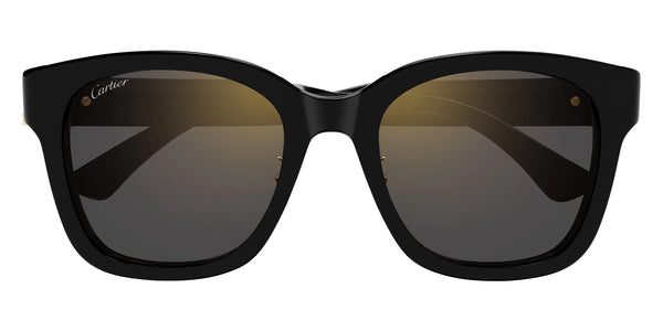 Black / Gray / 54-20-145