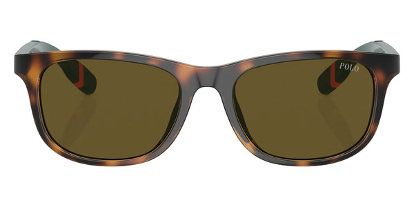 Shiny Havana/Orange / Olive Green / 49-16-130