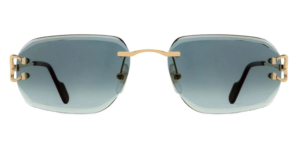 Cartier - CT0468S Signature C de Cartier