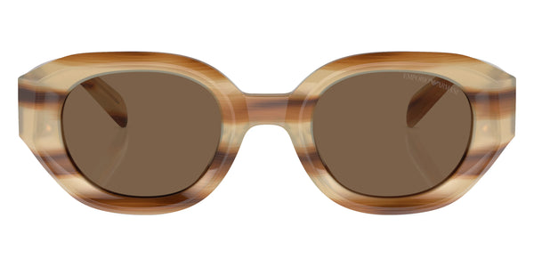 Shiny Striped Beige Dark Brown / Dark Brown / 48-25-145