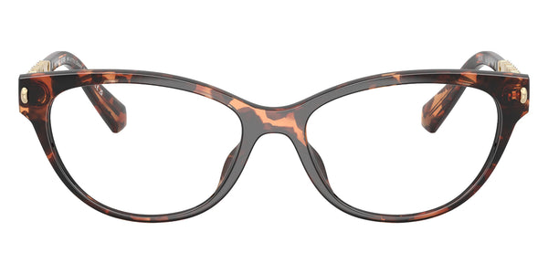 Dark Tortoise / 49-16-140