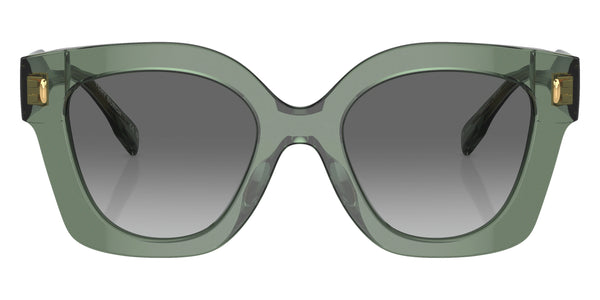 Transparent Sage / Light Gray Gradient Dark Gray / 49-20-145