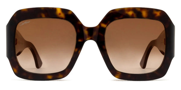 Havana / Brown Multi Treatment / 54-23-135