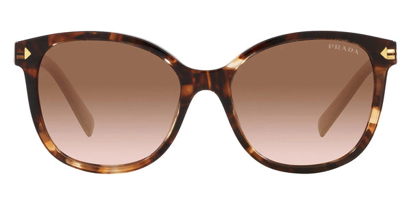 Caramel Tortoise / Brown Gradient / 55-16-145