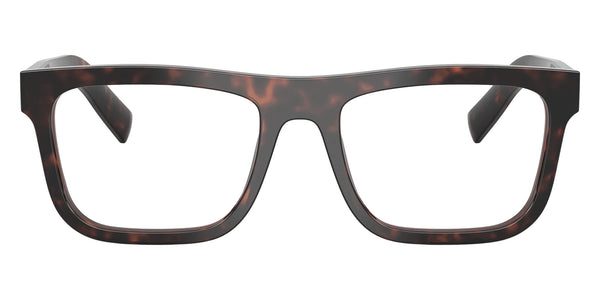 Root Tortoise / 53-19-145