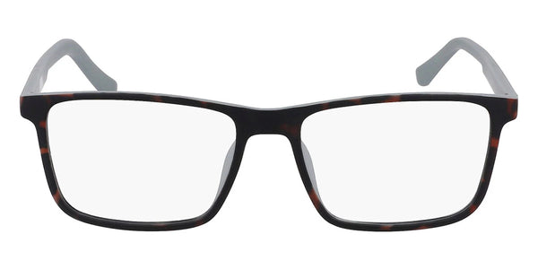 Tortoise / 56-17-145