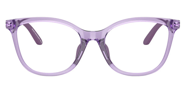 Shiny Transparent Violet/Matte Silver / 46-16-130