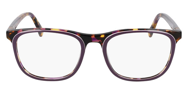 Plum Tortoise / 54-19-145