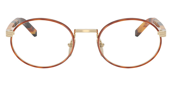 Cinnamon Tortoise/Pale Gold/Honey Havana / 49-21-145