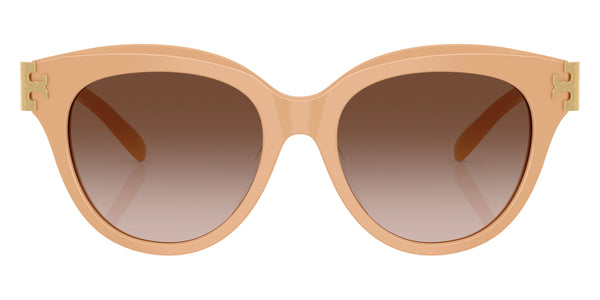 Nude / Brown Gradient / 53-18-140