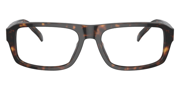 Dark Tortoise / 56-18-145