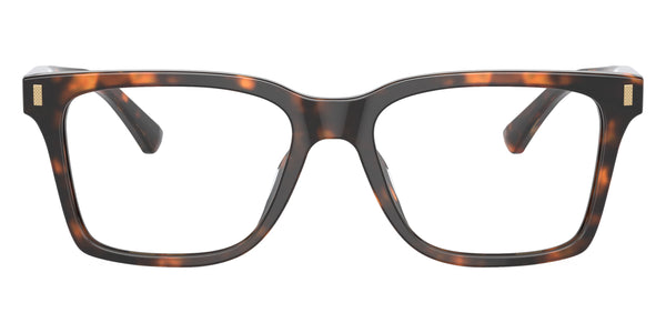 Dark Tortoise Bio / 54-17-145