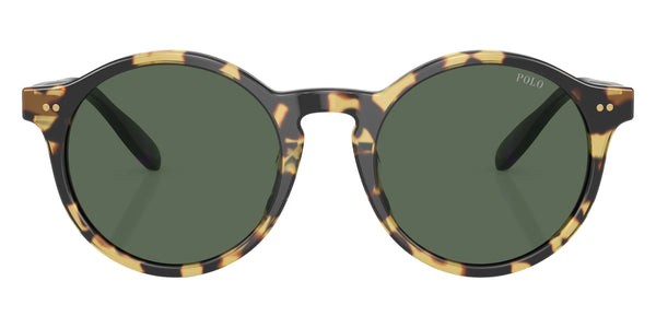 Shiny Tortoise Brown Dark Green / Dark Green / 50-21-145