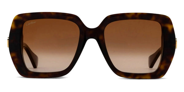 Havana / Brown Multi Treatment / 54-20-140