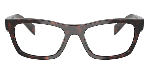 Root Tortoise / 52-19-145