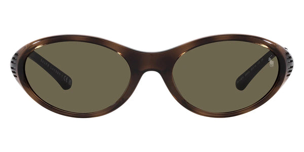 Shiny Havana / Brown / 56-19-145