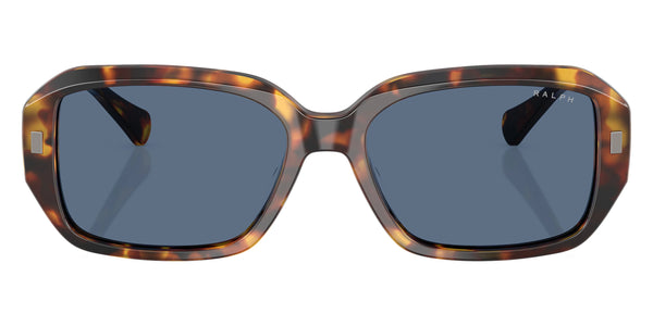 Shiny Havana / Dark Blue / 55-16-145