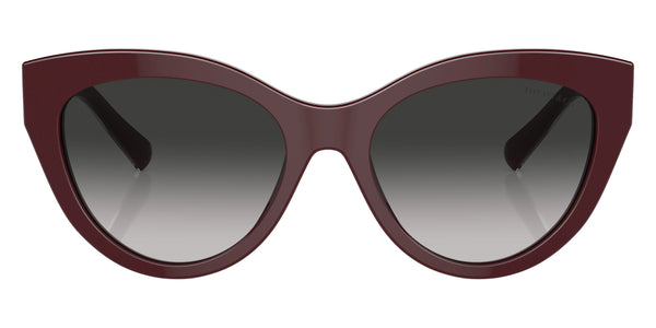 Crystal on Burgundy / Gray Gradient / 54-18-140