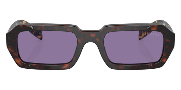 Havana / Violet Mirrored Silver Internal / 54-19-140