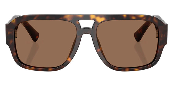 Havana / Dark Brown / 58-16-145