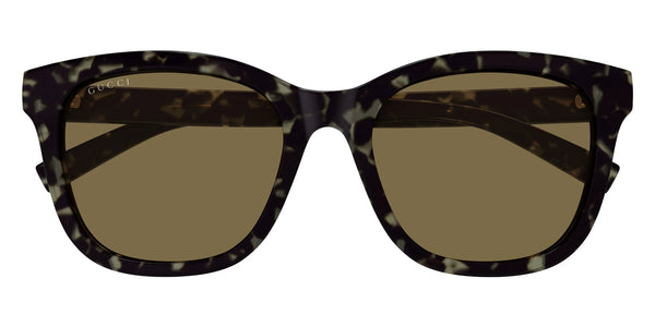 Havana / Brown / 55-19-145