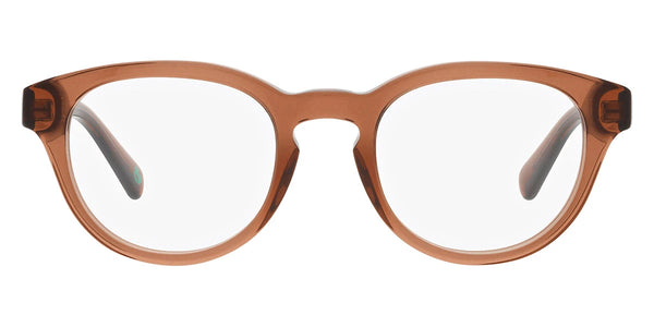 Shiny Transparent Brown / 48-21-145