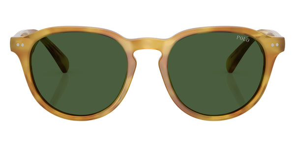 Shiny Tortoise Light Brown / Bottle Green / 52-19-145