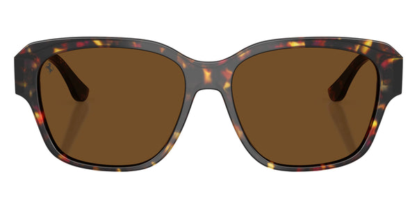 Yellow Tortoise / Brown Polarized / 57-16-145