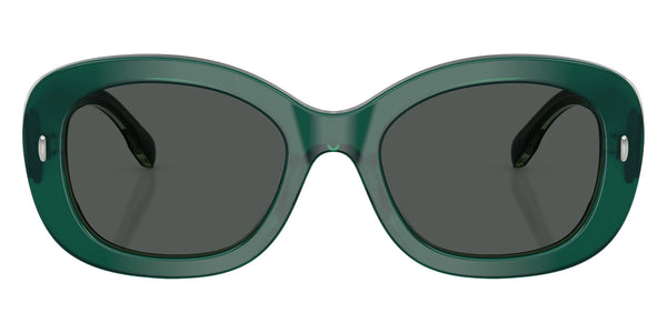 Dark Green/Transparent Sage / Dark Gray / 52-20-140