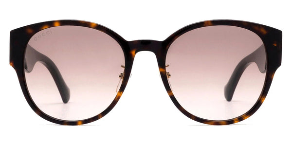 Havana / Brown Gradient / 56-20-145