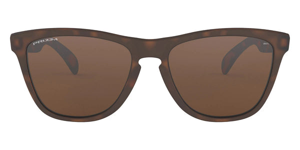 Matte Brown Tortoise / Prizm Tungsten / 55-17-139