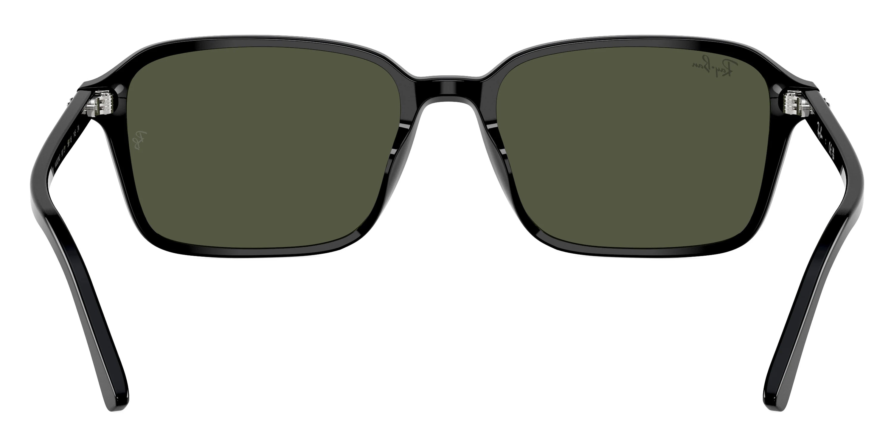 Ray-Ban - Raimond RB2231