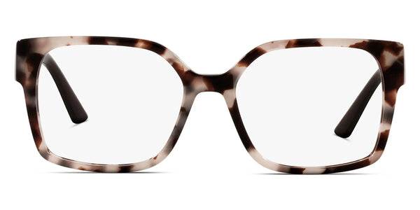 Talc Tortoise / 54-17-140