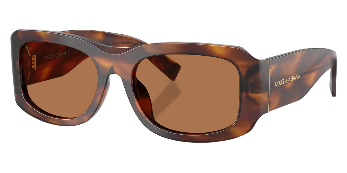 DOLCE & GABBANA - DG4503