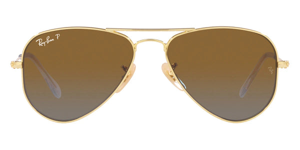 Arista / Gradient Brown Polarized / 50-13-120