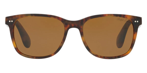 Shiny Jerry Havana / Brown / 56-18-145