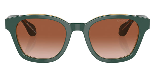 Top Green/Olive Transparent / Gradient Brown / 50-21-145