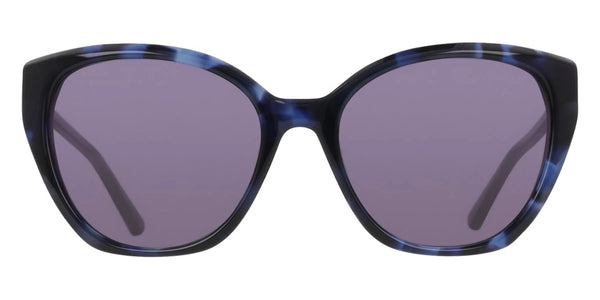 Blue Tortoise / 55-18-140