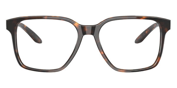 Tortoise / 54-17-140