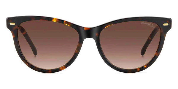 Havana / Brown Gradient / 54-16-140