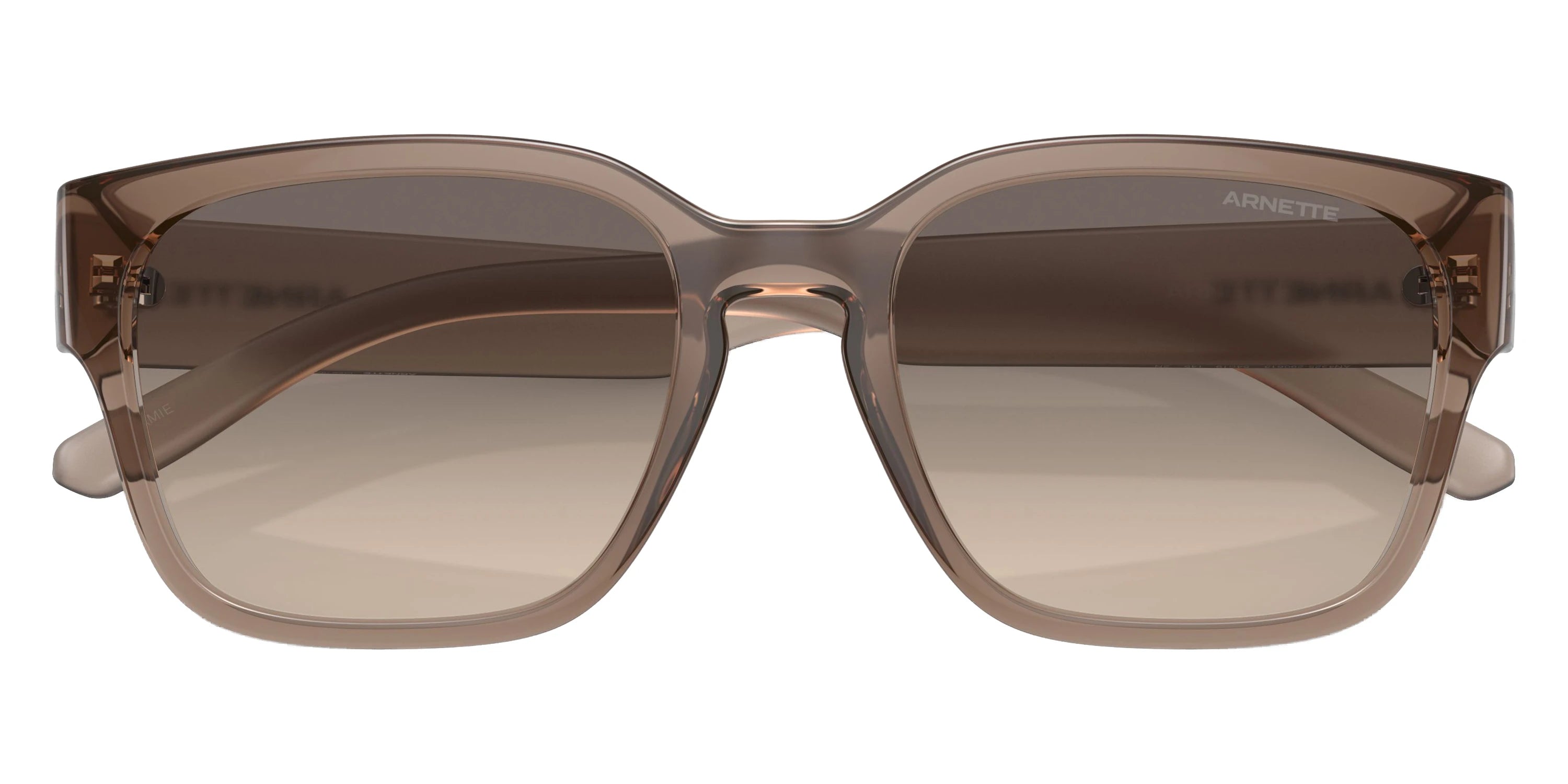 ARNETTE - AN4325 Hamie