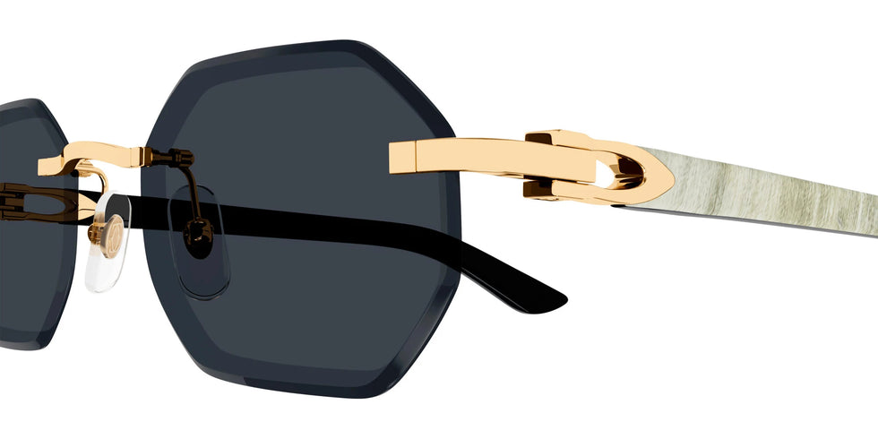 Cartier - CT0439S C Décor