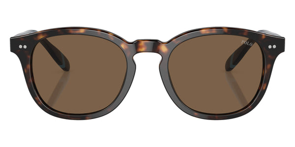 Shiny Dark Havana/Blue / Brown / 52-20-145