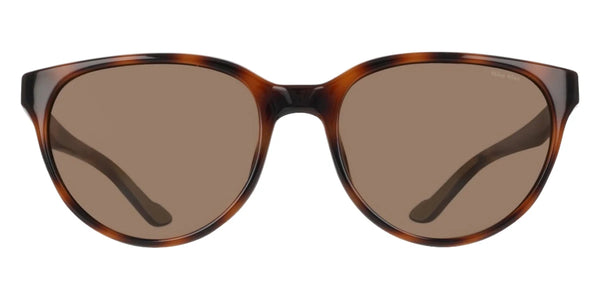 Tortoise / Brown / 54-18-140