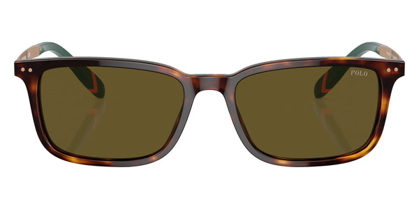 Shiny Brown Tortoise/Antique Gold/Green / Olive Green / 55-18-145