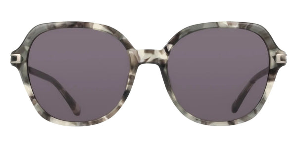 Smoke Tortoise / 55-18-140